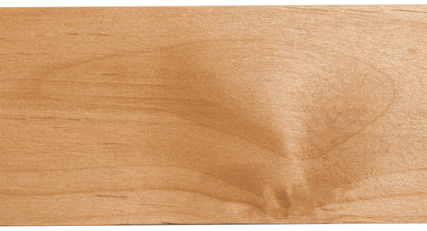 P16 Alder V01 1
