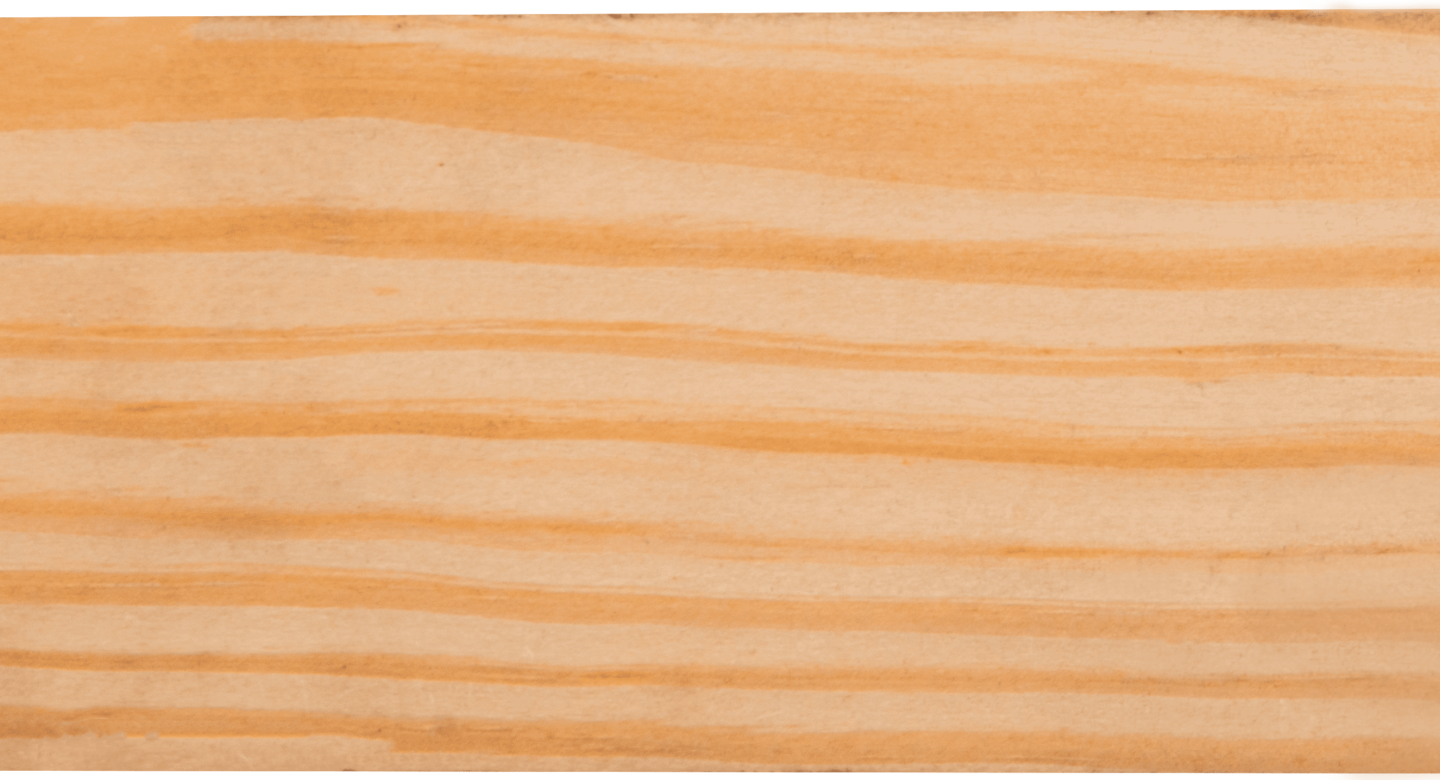 P05 Pino Amarillo V02 1