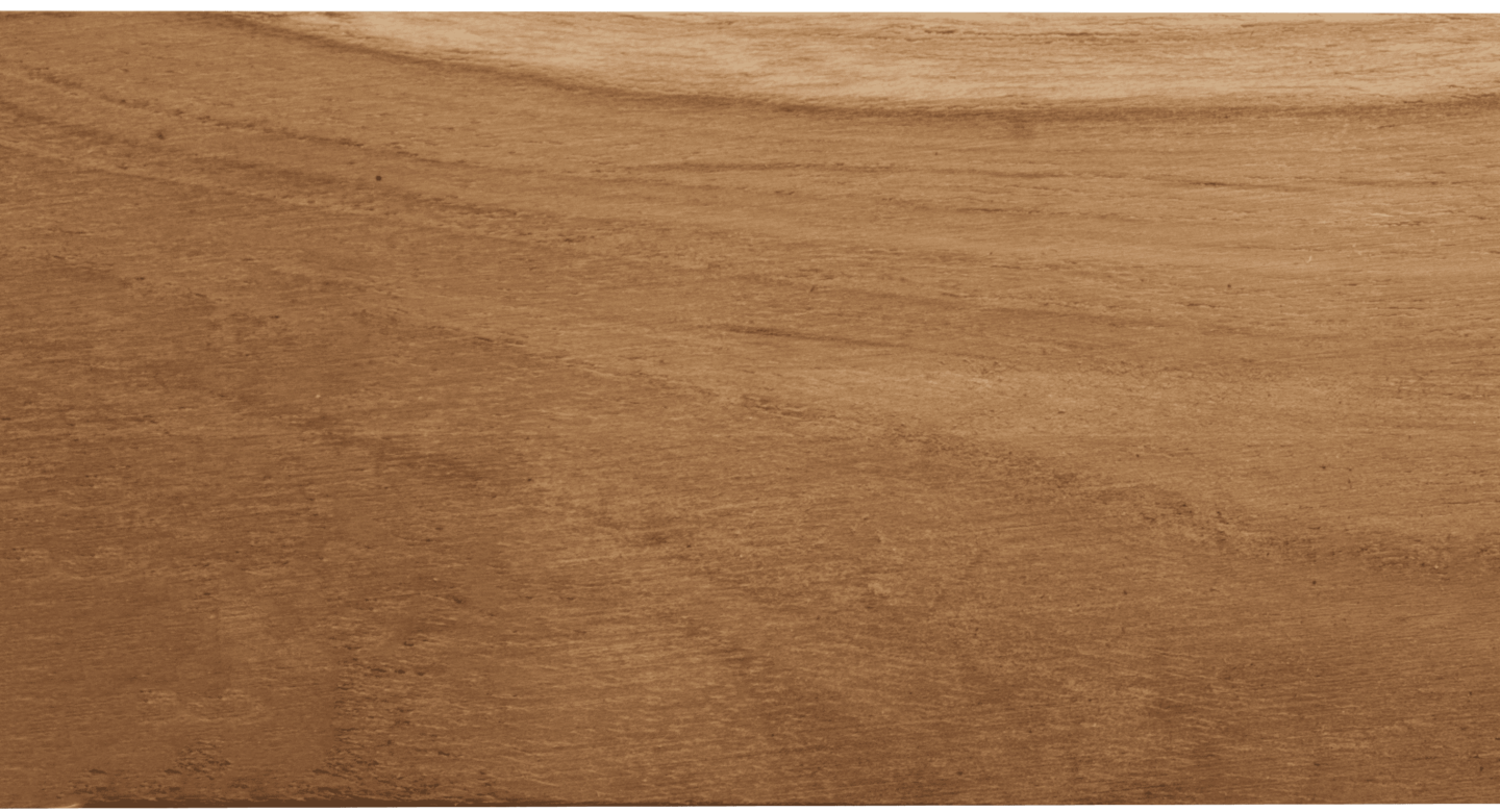 P25 Teca Nacional V01 1