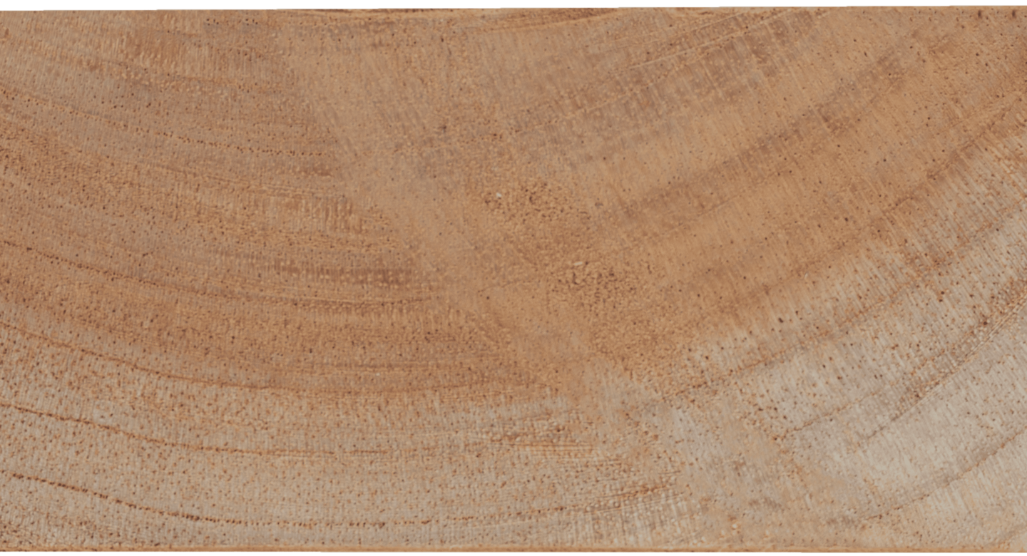P26 Cedro V01 1