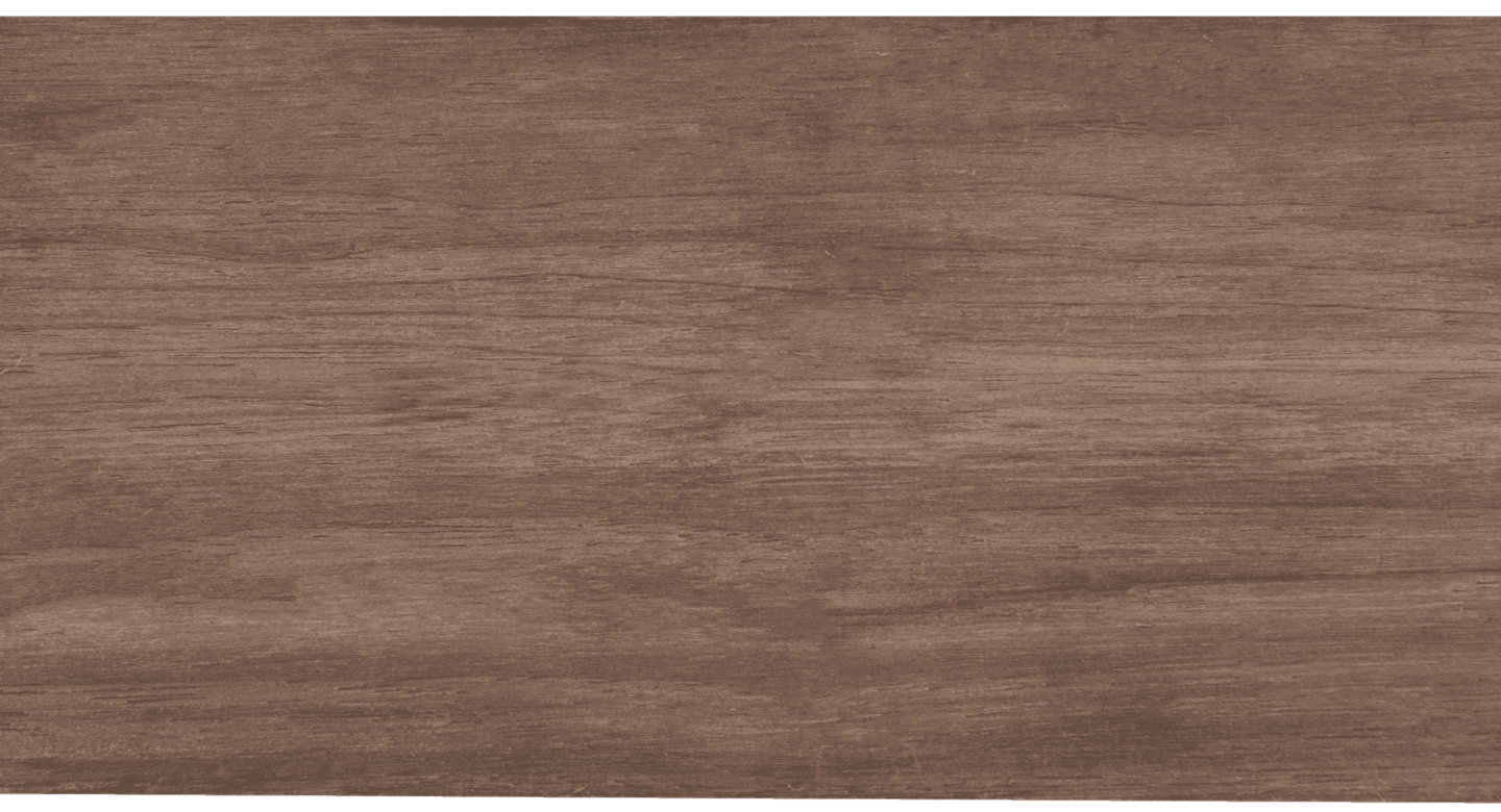 P14 Nogal2 V02 1 2024 10 07 224449 qdhn