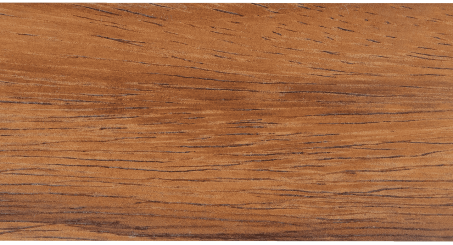P22 Parota2 V02 2 1