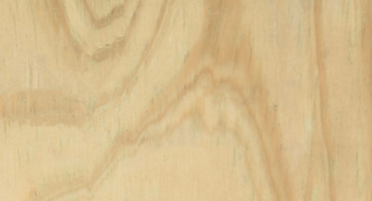 P02 Pino CCA V01 crop