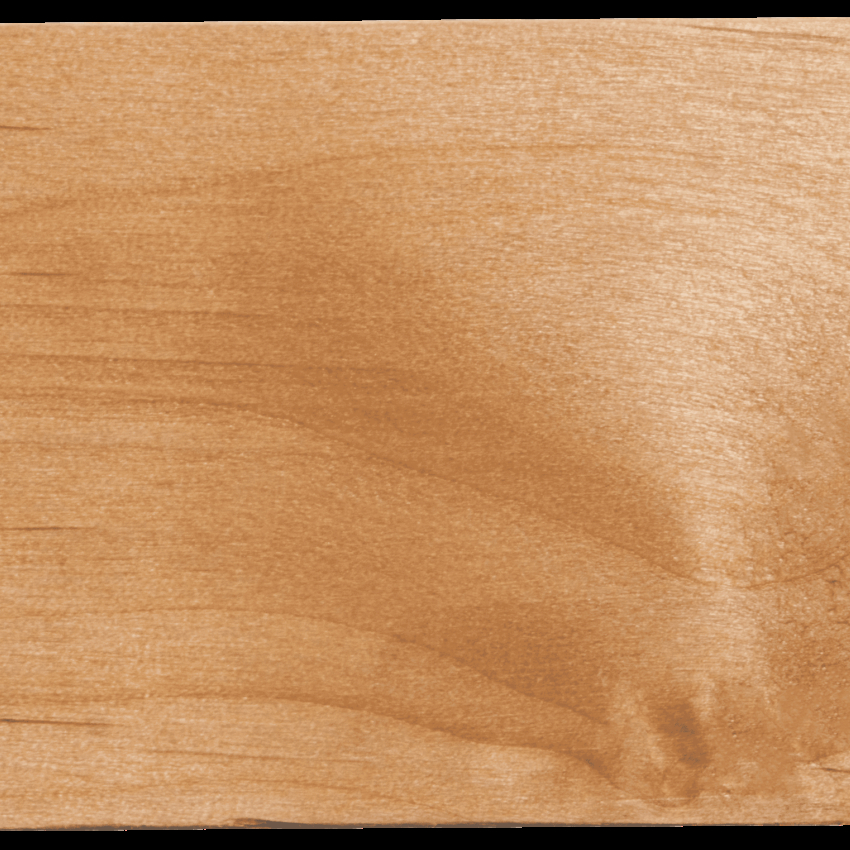 P16 Alder V01 1