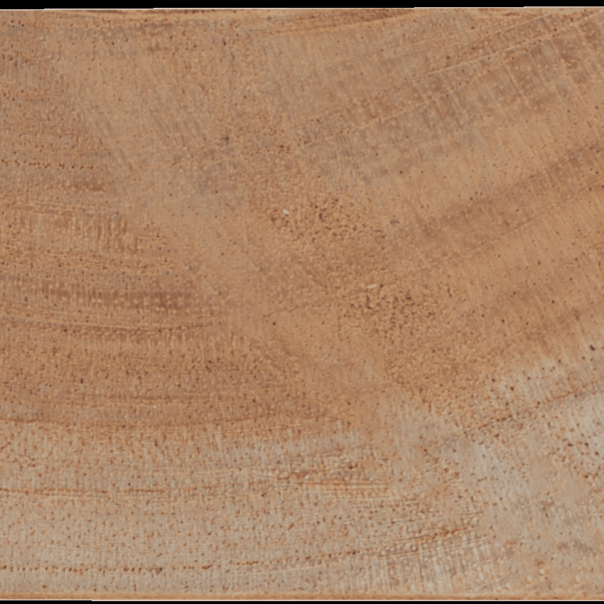 P26 Cedro V01 1